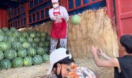 合肥吃瓜网红事件,揭秘网络舆论的风暴与真相