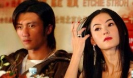 爆料谢霆锋张柏芝视频,真相背后引人深思